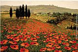 Hills of Tuscany I